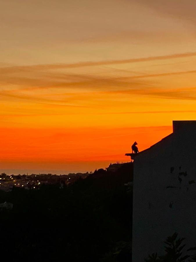 Ocean View Skyline Apartment ‚Hakuna Matata' アルブフェイラ エクステリア 写真
